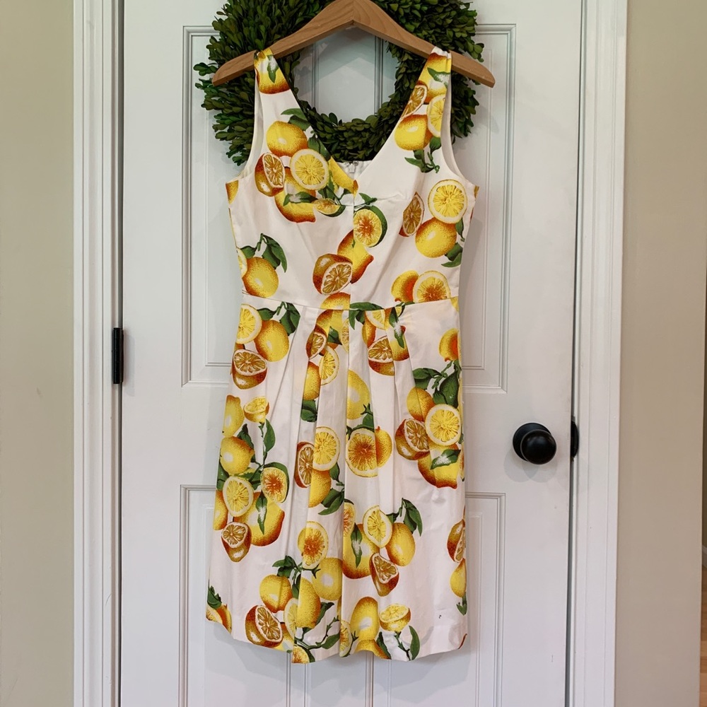 Banana Republic Lemon Print Fit and Flare Dress